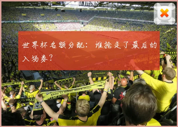 世界杯名额分配:谁抢走了最后的入场券?