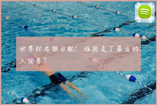 世界杯名额分配:谁抢走了最后的入场券?